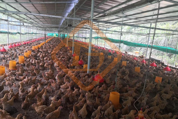 廢棄菌糠發(fā)酵做有機肥的方法和步驟，顆粒狀菌糠有機肥生產(chǎn)線有哪些配置